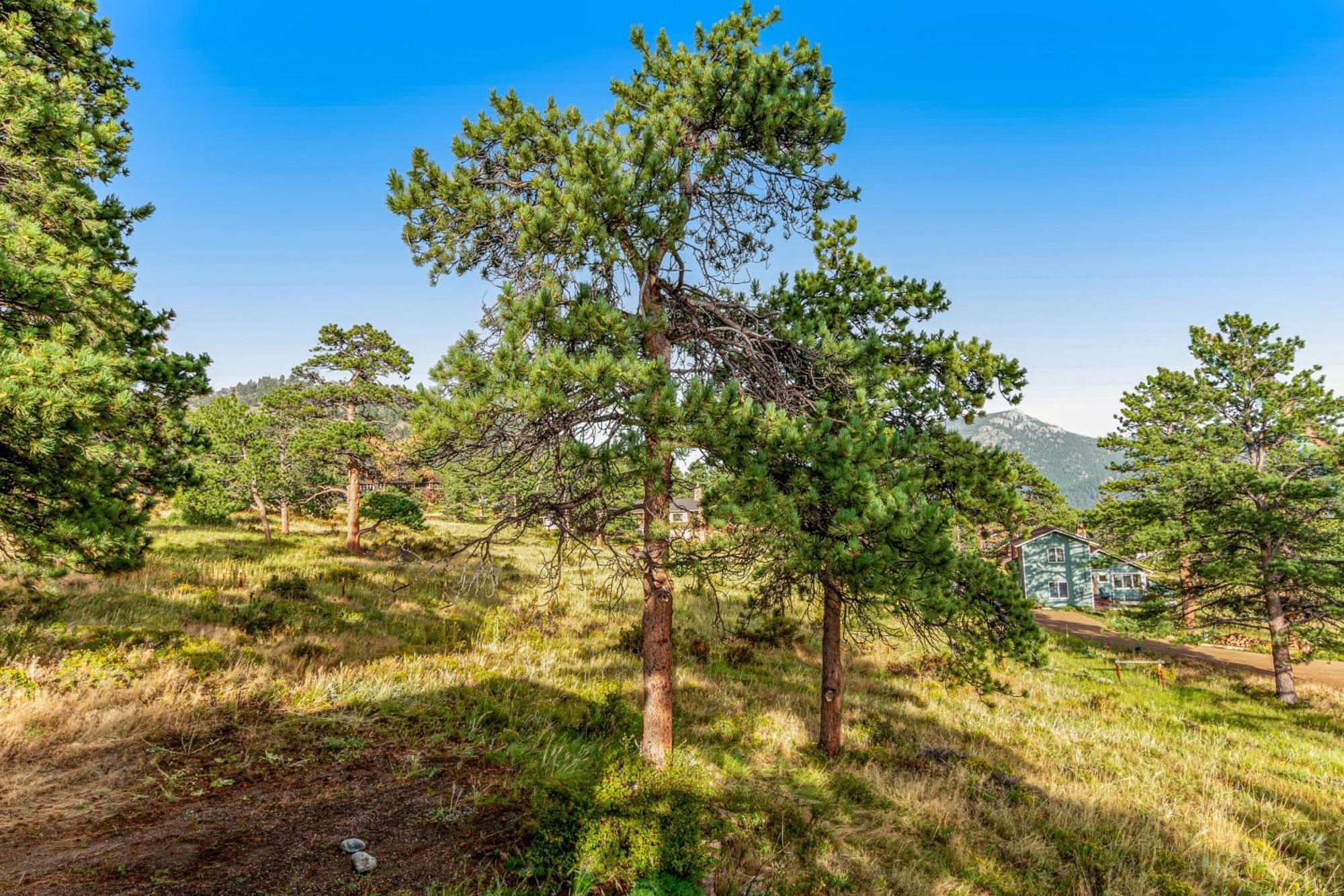 Deer Mountain Lodge South Estes Park Exterior photo